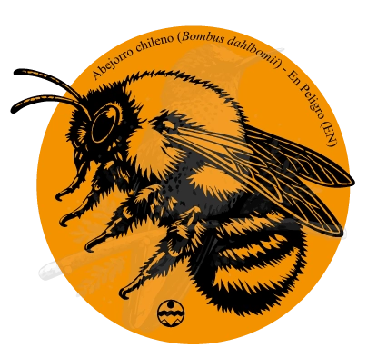 Diseño de Abejorro chileno — Bombus dahlbomii