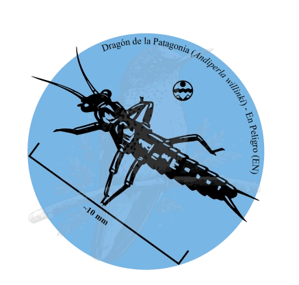 Diseño de Dragón de la Patagonia — Andiperla willinki