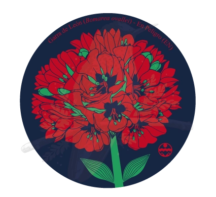 Diseño de Garra de León — Bomarea ovallei