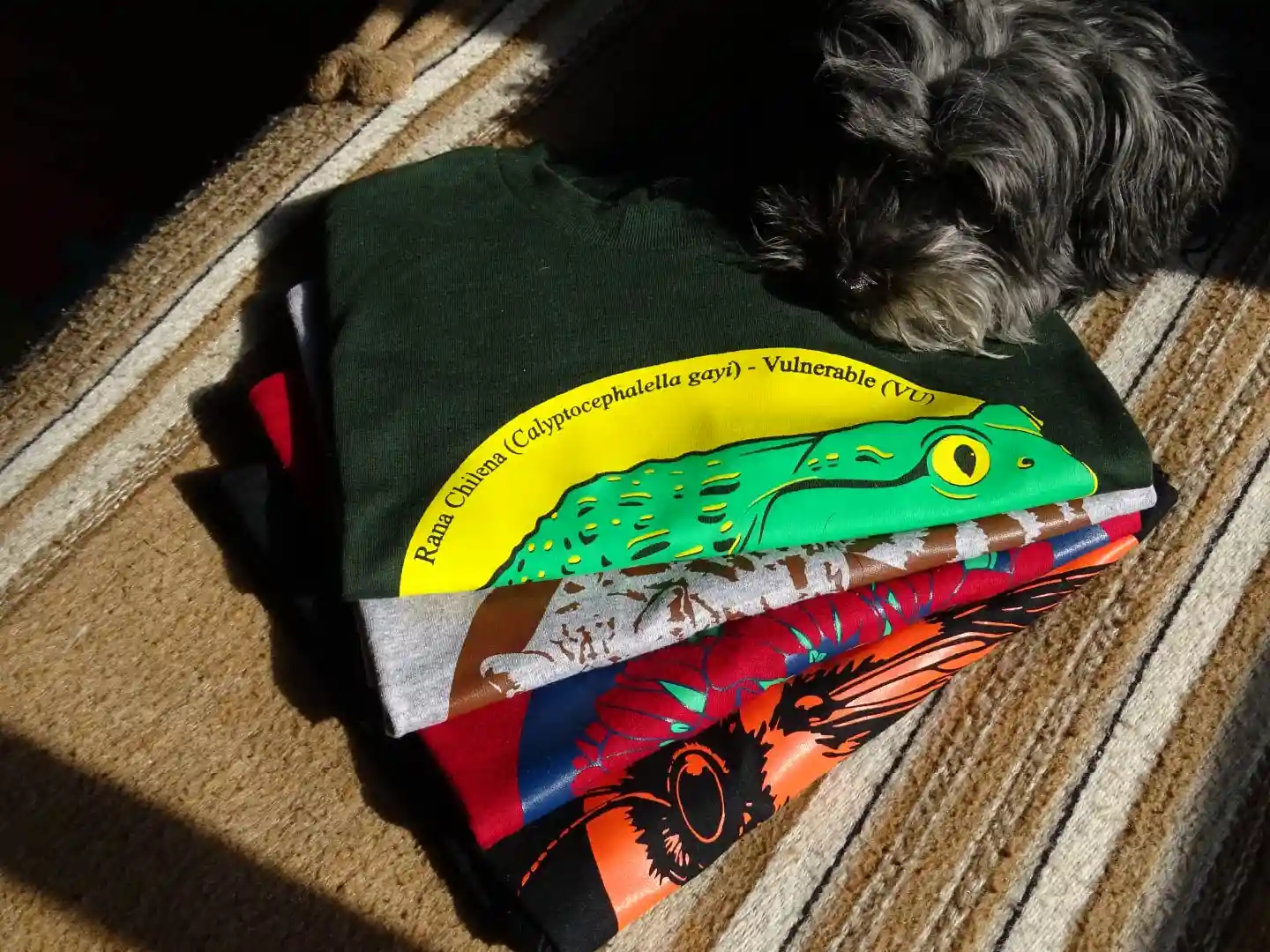 Perrita descansando cerca de poleras ilustrada de SER_ENDÉMICA