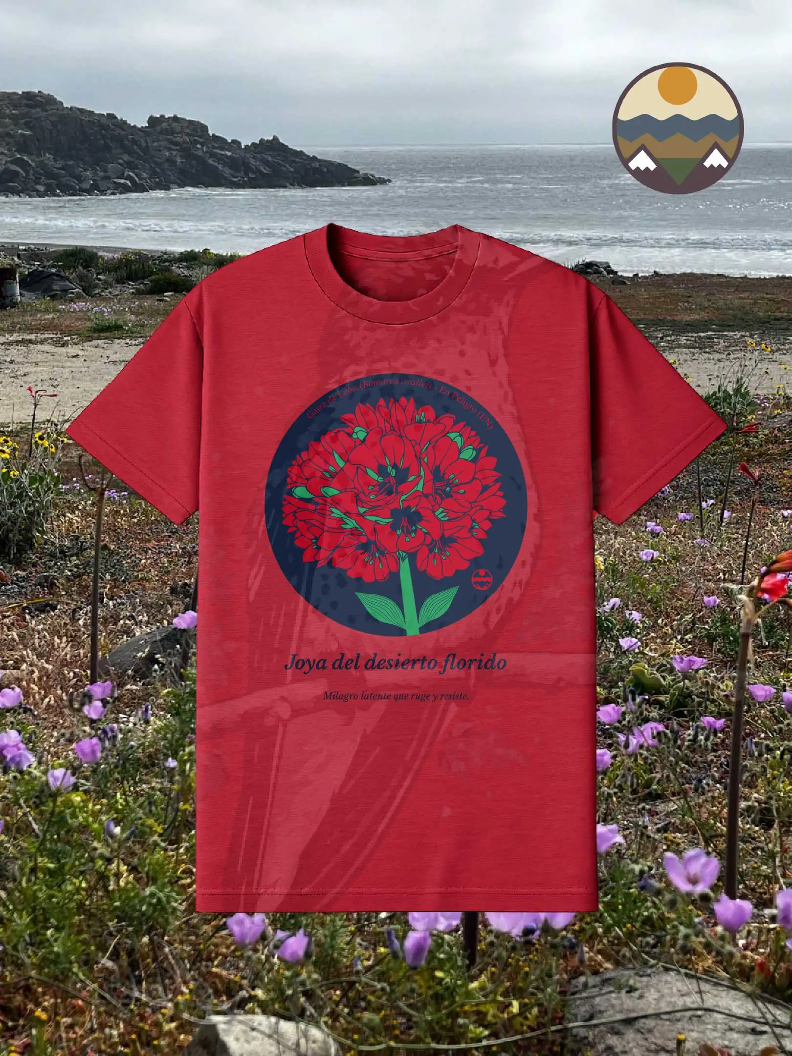 Polera de la Garra de León — Bomarea ovallei