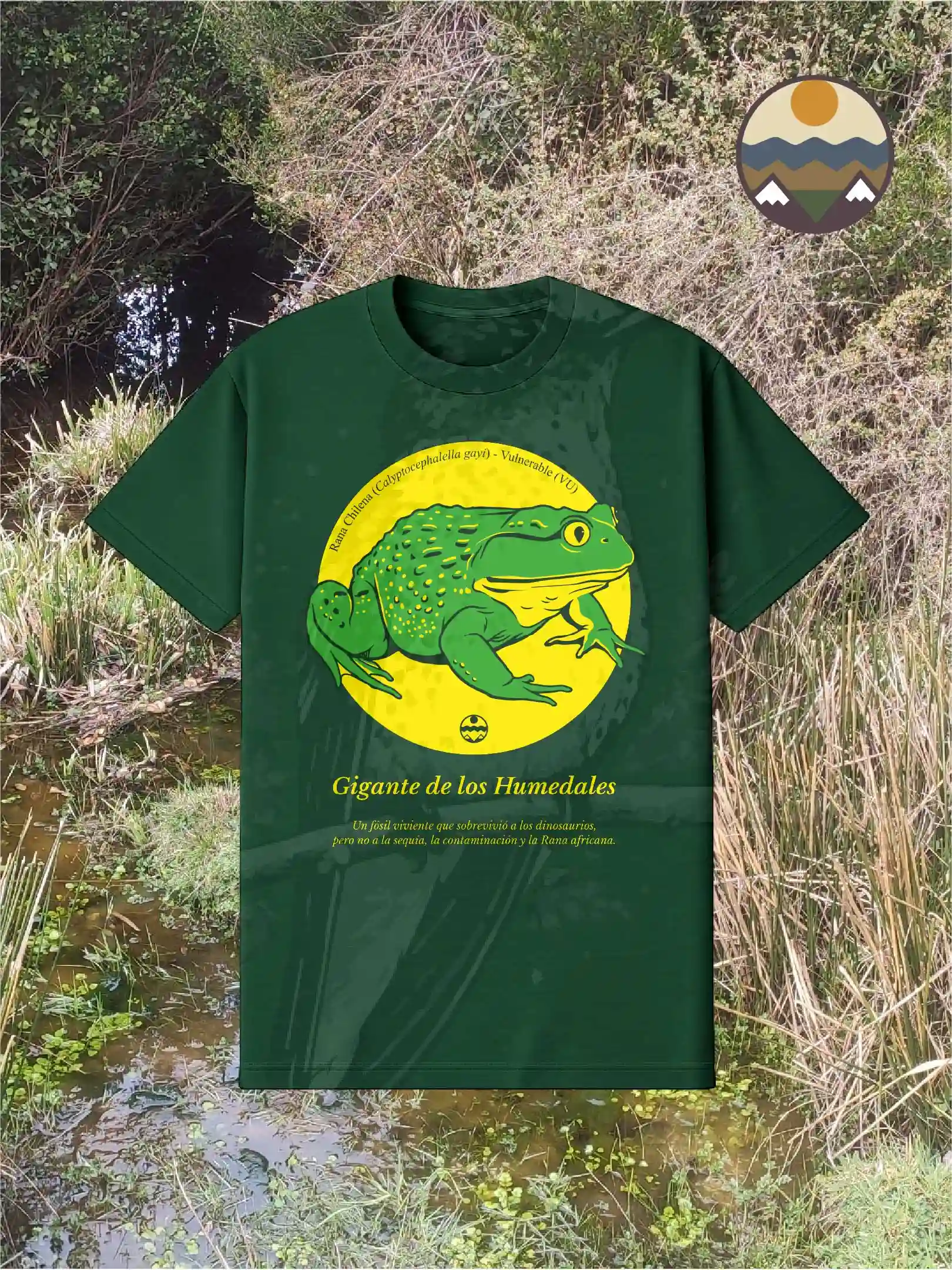 Polera de la Rana chilena — Calyptocephalella gayi